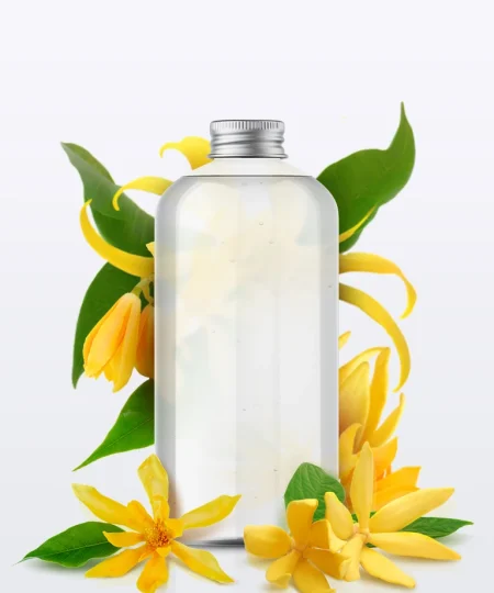Fragrance de base